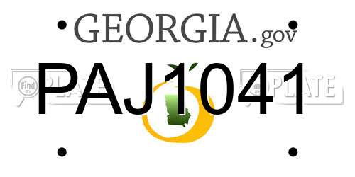 PAJ1041 Georgia License Plate