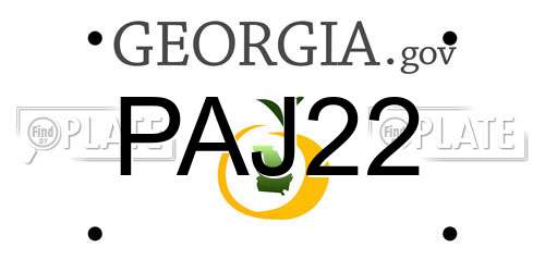 PAJ22 Georgia License Plate
