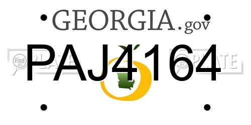PAJ4164 Georgia License Plate