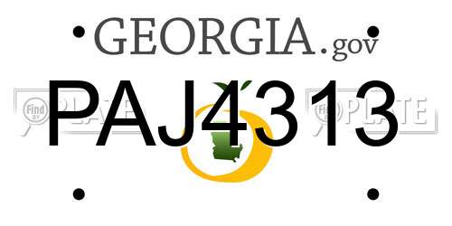 PAJ4313 Georgia License Plate