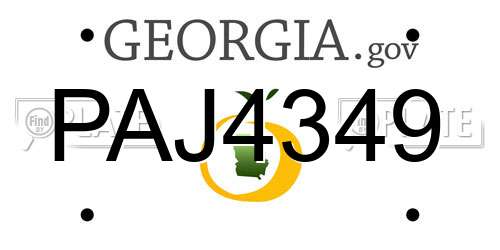 PAJ4349 Georgia License Plate