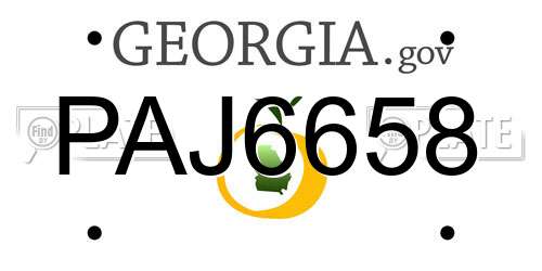 PAJ6658 Georgia License Plate