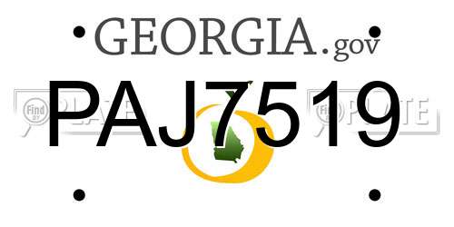 PAJ7519 Georgia License Plate