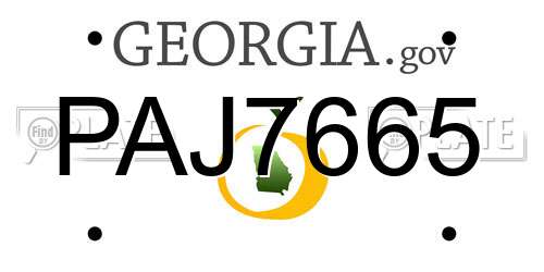 PAJ7665 Georgia License Plate