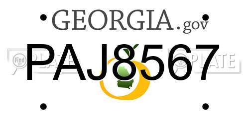 PAJ8567 Georgia License Plate