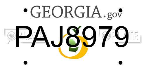 PAJ8979 Georgia License Plate