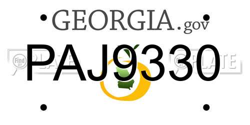 PAJ9330 Georgia License Plate