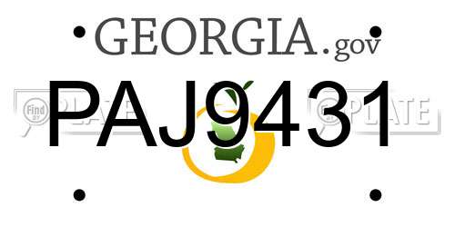 PAJ9431 Georgia License Plate