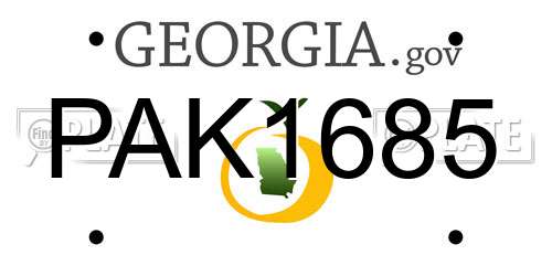 PAK1685 Georgia License Plate