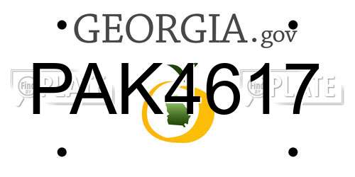 PAK4617 Georgia License Plate