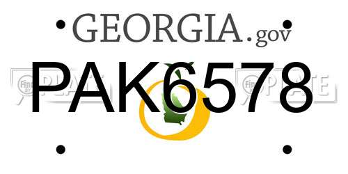 PAK6578 Georgia License Plate