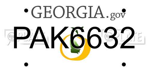 PAK6632 Georgia License Plate