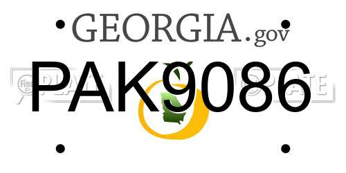 PAK9086 Georgia License Plate