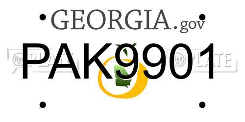 PAK9901 Georgia License Plate