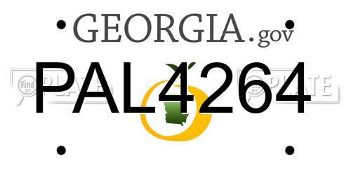 PAL4264 Georgia License Plate