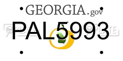 PAL5993 Georgia License Plate