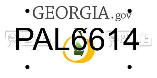 PAL6614 Georgia License Plate
