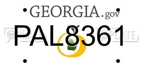 PAL8361 Georgia License Plate