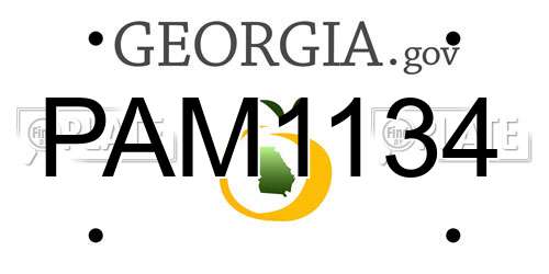 PAM1134 Georgia License Plate