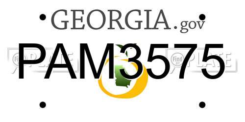 PAM3575 Georgia License Plate