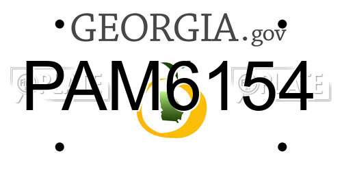 PAM6154 Georgia License Plate