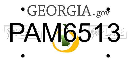 PAM6513 Georgia License Plate