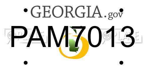 PAM7013 Georgia License Plate