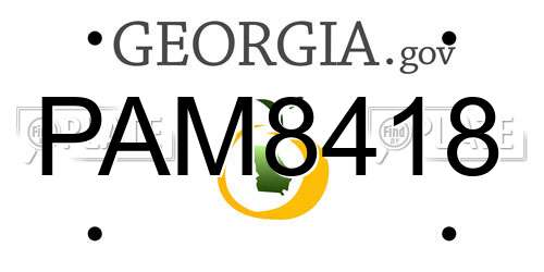 PAM8418 Georgia License Plate
