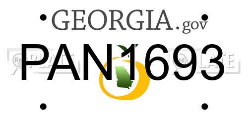 PAN1693 Georgia License Plate