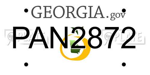 PAN2872 Georgia License Plate