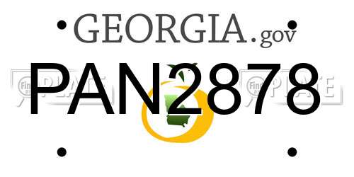 PAN2878 Georgia License Plate