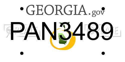 PAN3489 Georgia License Plate