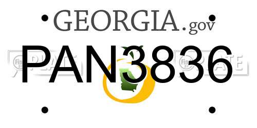 PAN3836 Georgia License Plate