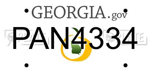 PAN4334 Georgia License Plate