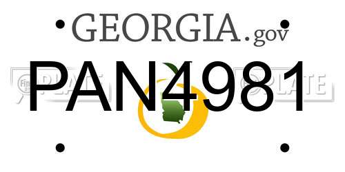 PAN4981 Georgia License Plate