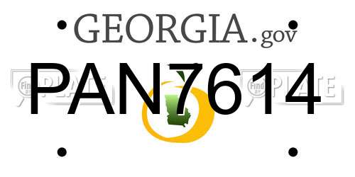 PAN7614 Georgia License Plate