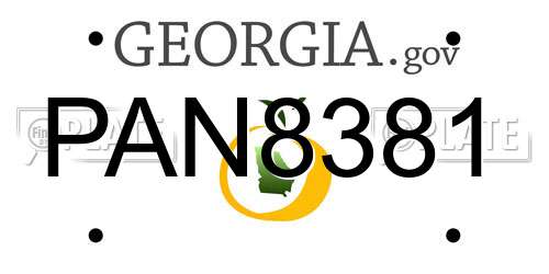PAN8381 Georgia License Plate
