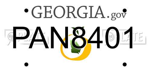 PAN8401 Georgia License Plate