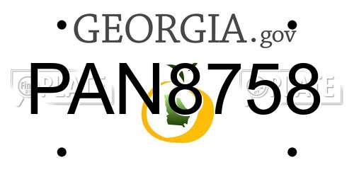 PAN8758 Georgia License Plate