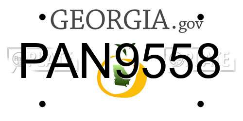 PAN9558 Georgia License Plate
