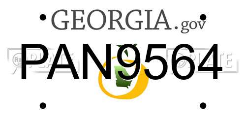 PAN9564 Georgia License Plate