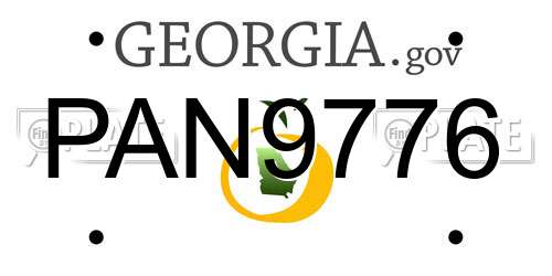 PAN9776 Georgia License Plate