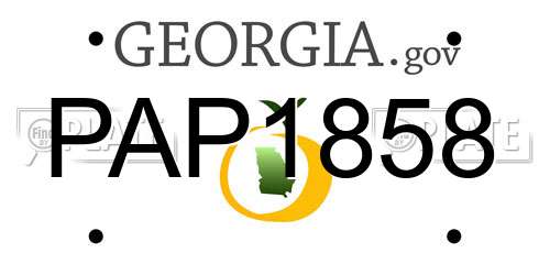 PAP1858 Georgia License Plate