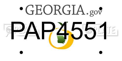 PAP4551 Georgia License Plate