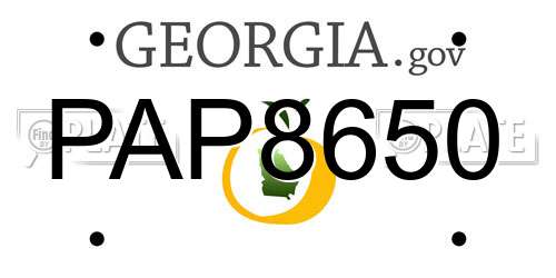 PAP8650 Georgia License Plate