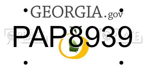 PAP8939 Georgia License Plate