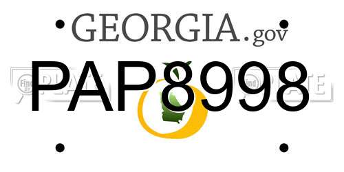 PAP8998 Georgia License Plate