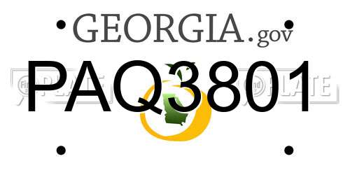 PAQ3801 Georgia License Plate