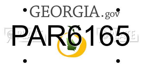PAR6165 Georgia License Plate
