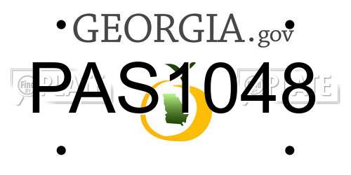PAS1048 Georgia License Plate